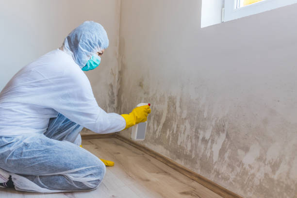 Licensed Bathroom Mold Removal service in Columbia, IL - WQB Mold Removal
