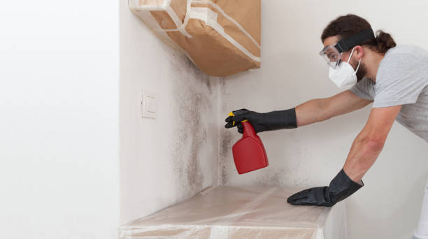 Professional Bathroom Mold Removal technician working in Columbia, IL