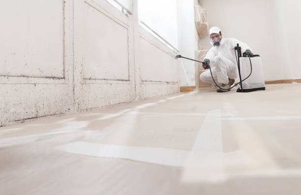 24/7 Emergency Bathroom Mold Removal experts in Columbia, IL