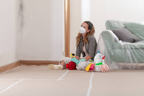 Reliable Bathroom Mold Removal contractor in Columbia, IL by WQB Mold Removal