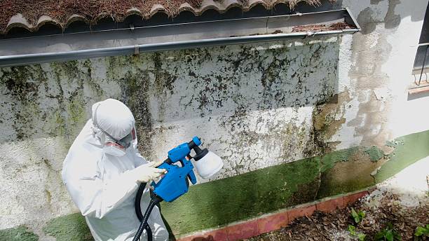 Top rated local Bathroom Mold Removal specialists in Columbia, IL